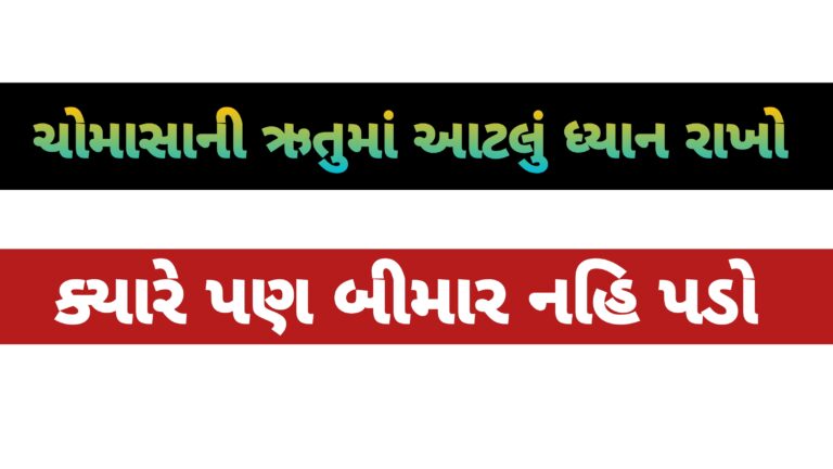 ચોમાસામાં બીમારીથી બચવા માટેના ઉપાય: આરોગ્યમંત્ર