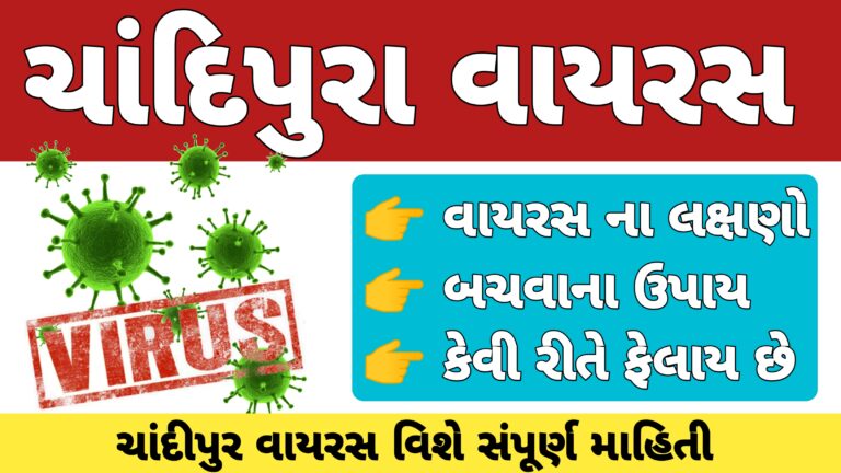 ચાંદીપુરા વાયરસ: સમજૂતી, લક્ષણો અને નિયંત્રણ