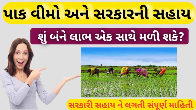 પાક વીમો અને સરકારની પાક નુક્સાન સહાય 2026 || શું બંને એકસાથે મળી શકે?